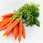 Bài thuốc quý từ củ cà rốt