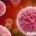 Phòng ngừa ung thư tử cung do vi rút HPV